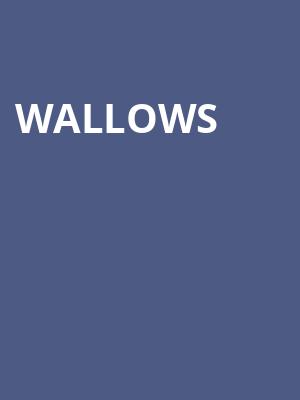 Wallows, Merriweather Post Pavillion, Baltimore