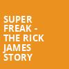 Super Freak The Rick James Story, Modell Performing Arts Center at the Lyric, Baltimore