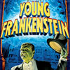 Young Frankenstein at Lyric Opera House Young Frankenstein at Lyric Opera House