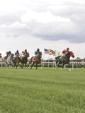 pimlico-race-course