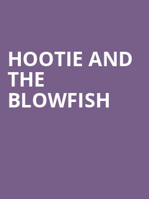 Hootie and the Blowfish, Merriweather Post Pavillion, Baltimore