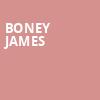 Boney James, Rams Head On Stage, Baltimore
