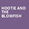 Hootie and the Blowfish, Merriweather Post Pavillion, Baltimore