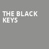 The Black Keys, Merriweather Post Pavillion, Baltimore